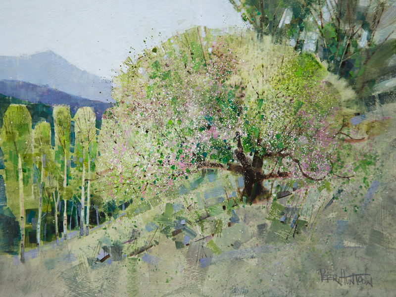 Apple-Blossoms