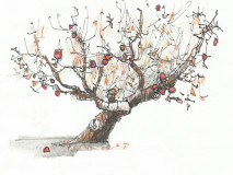 Apple Tree Drawing