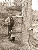 Sugaring with Uncle Bob 1965