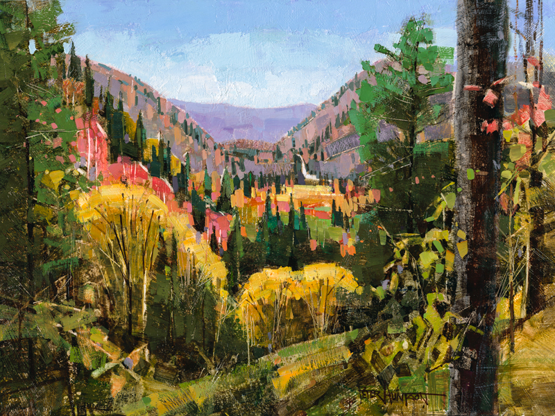 Big Branch Overlook
