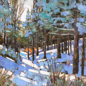 Enchanted Forest