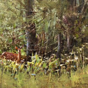 Flora and Fauna