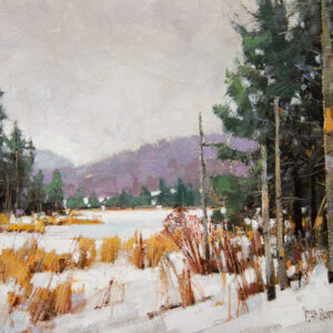 High Country Snows