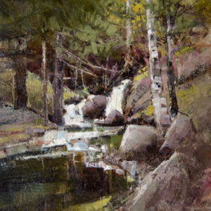 Kent Pond Falls