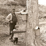 Sugaring with Uncle Bob 1965